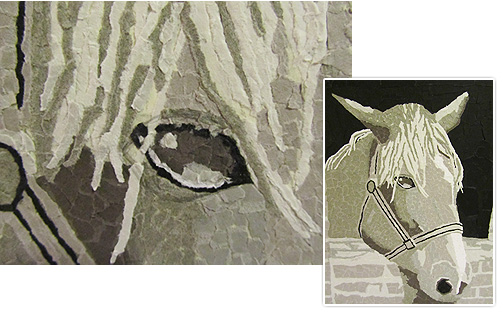 Closeup of horse portrait